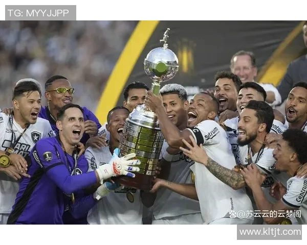 解放者杯激战正酣各国球队争夺南美足球最高荣誉的荣耀之路