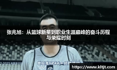 zbo智博官网入口